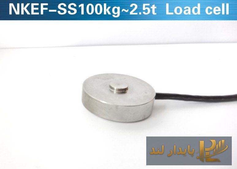 لودسل دیسکی کیلی NKE